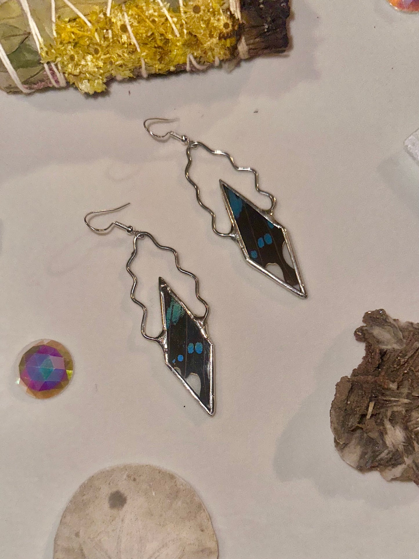 Blue-Banded Butterfly Wing Earrings