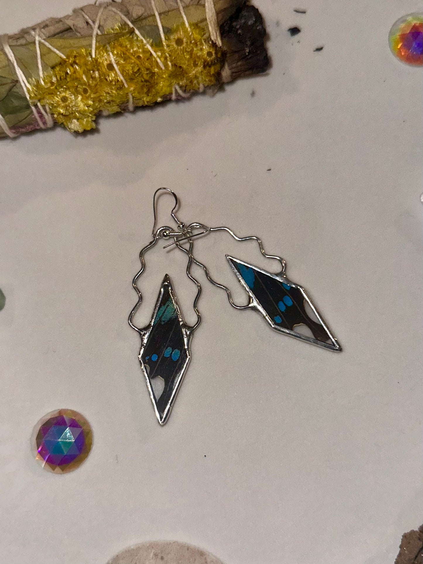 Blue-Banded Butterfly Wing Earrings